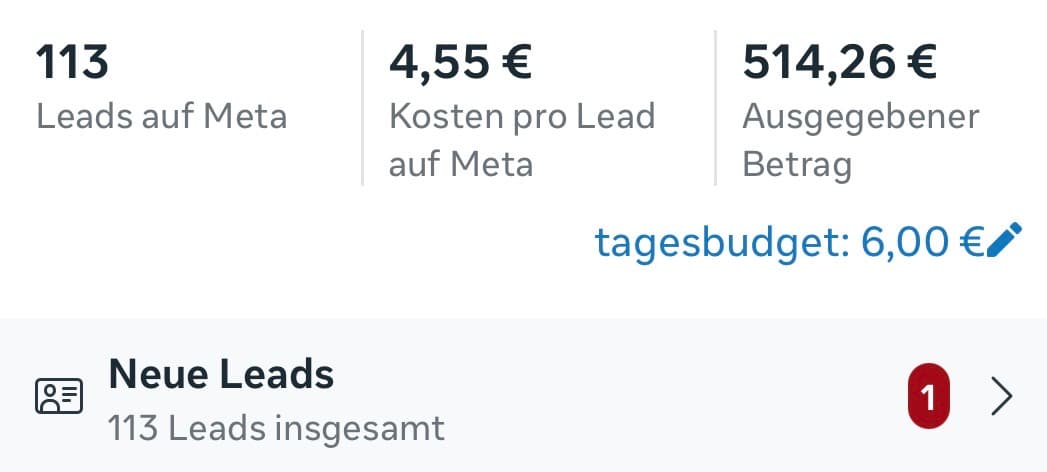 Meta-Auswertung: 113 Leads auf Meta, 4,55 € Kosten pro Lead, 514,26 € ausgegebener Betrag bei 6 € Tagesbudget